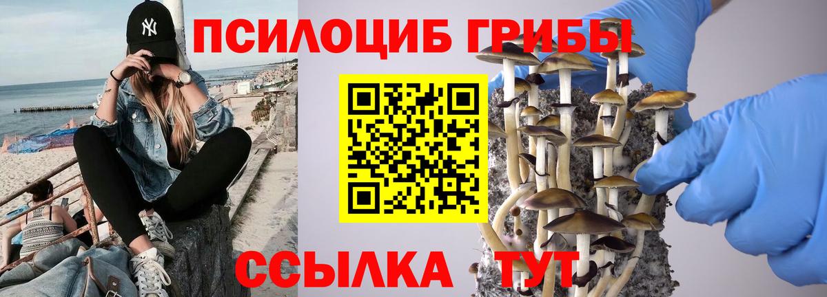 Туапсе  Галлюциногенные грибы мицелий  Псилоцибиновые грибы ЛСД  Вход с VPN 